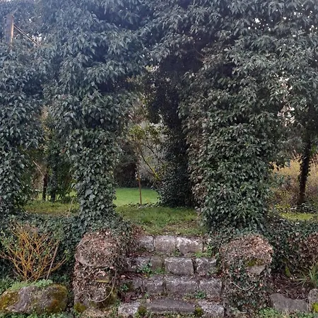 Visocchi Bed & Breakfast